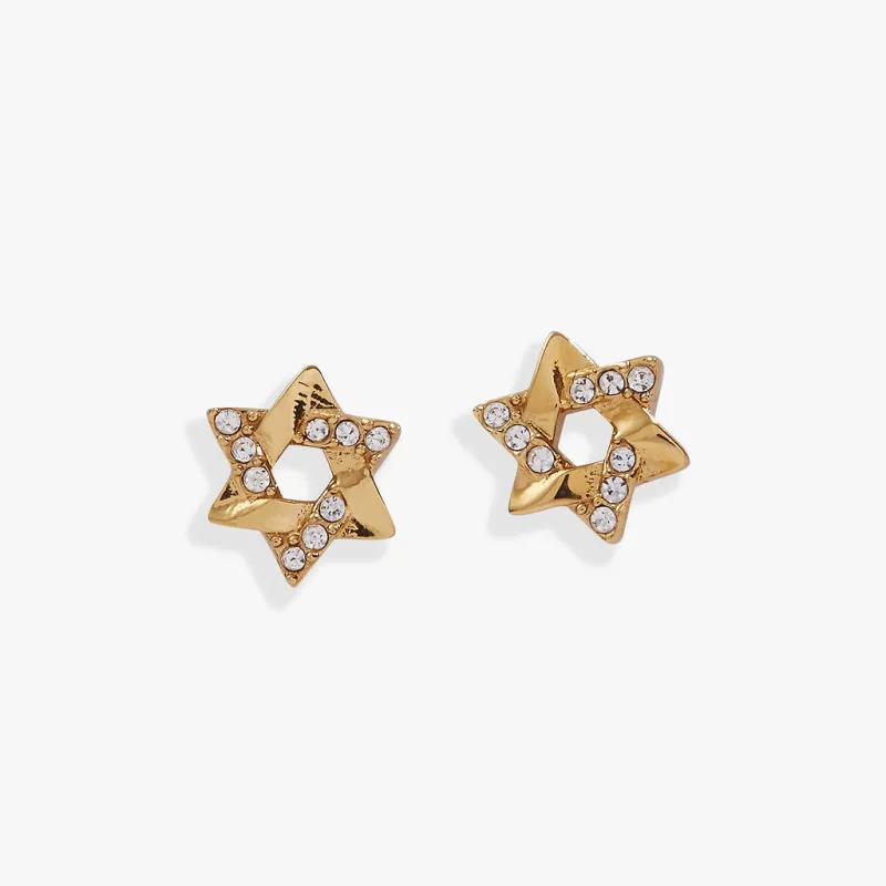 Star of David Mini Stud Earrings made by Alex and Ani