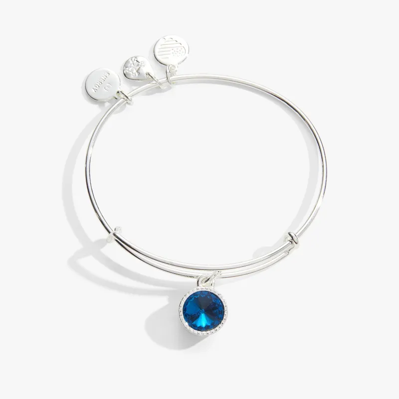 December Birthstone Charm Bangle, Blue Zircon sold by Zulily