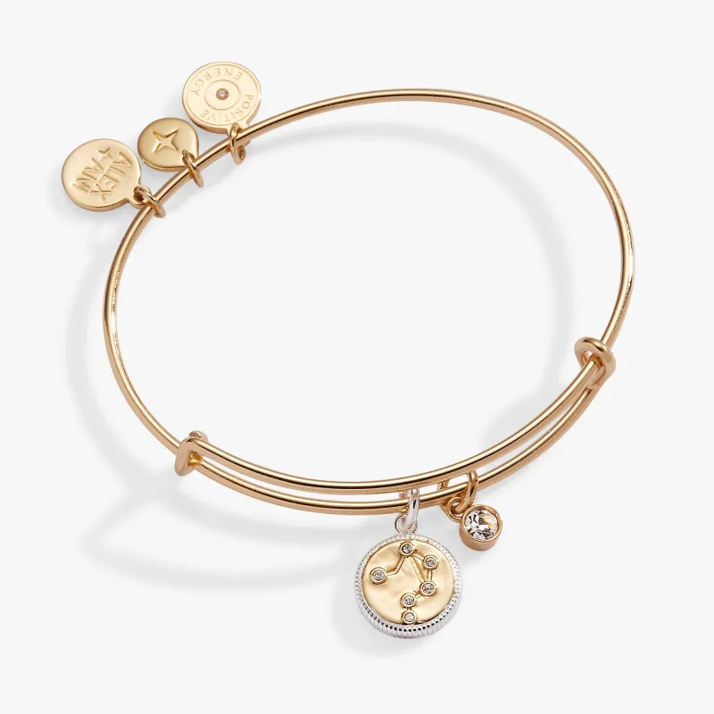 Libra Zodiac Charm Bangle sold by Zulily