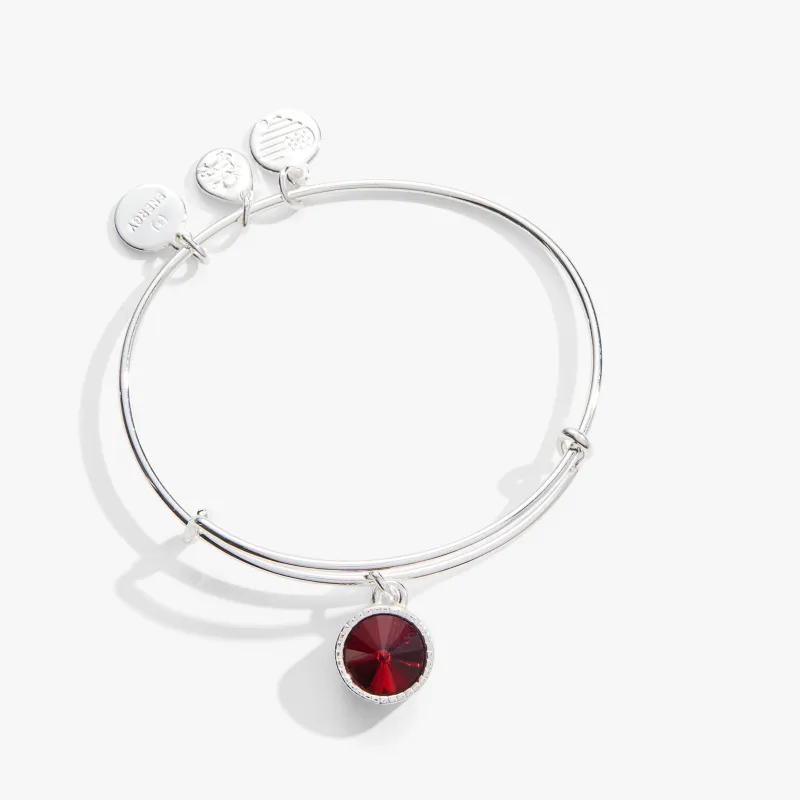 January Birthstone Charm Bangle, Scarlet sold by Zulily