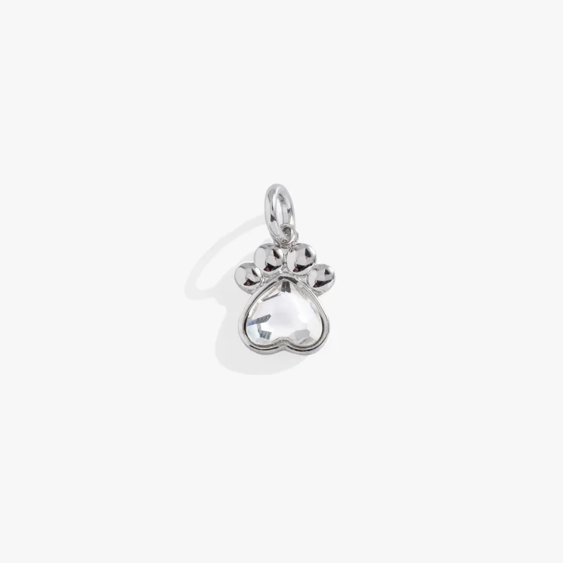 Crystal Paw Interchangeable Charm sold by Zulily