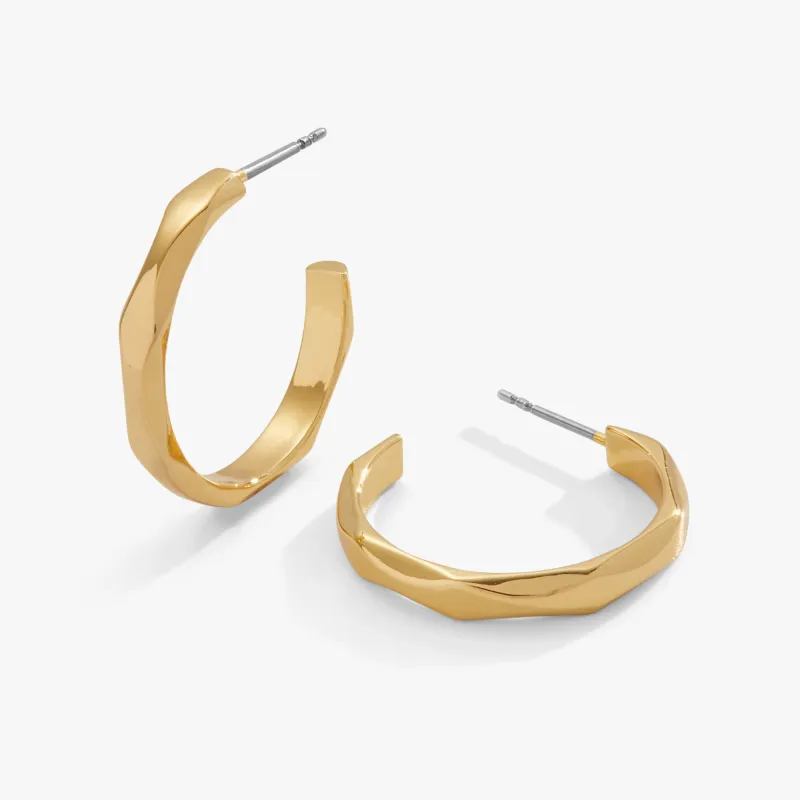 Faceted Hoop Earrings made by Alex and Ani