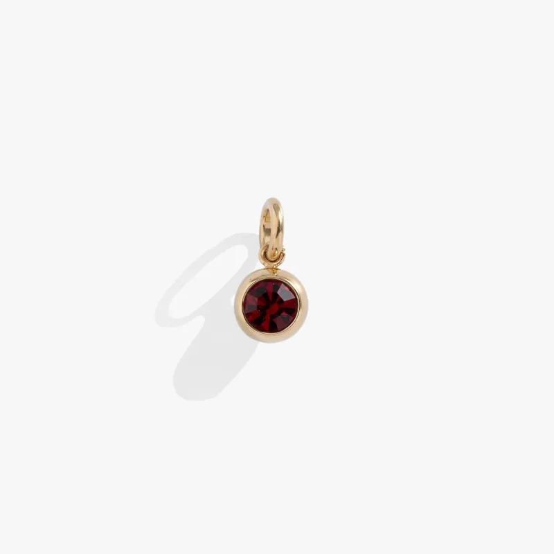 January Birthstone Interchangeable Charm sold by Zulily
