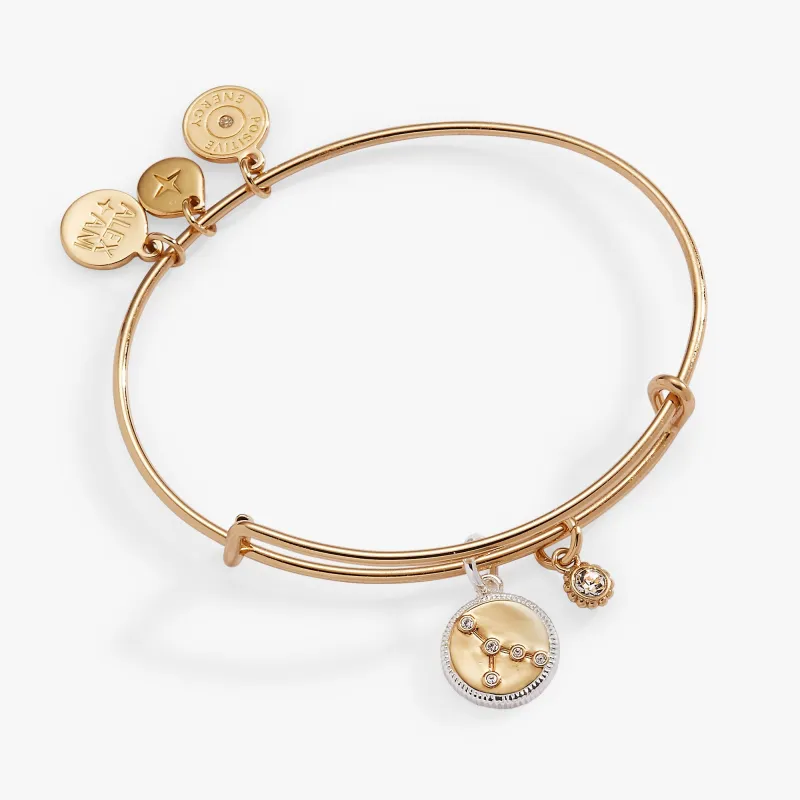 Cancer Zodiac Charm Bangle sold by Zulily