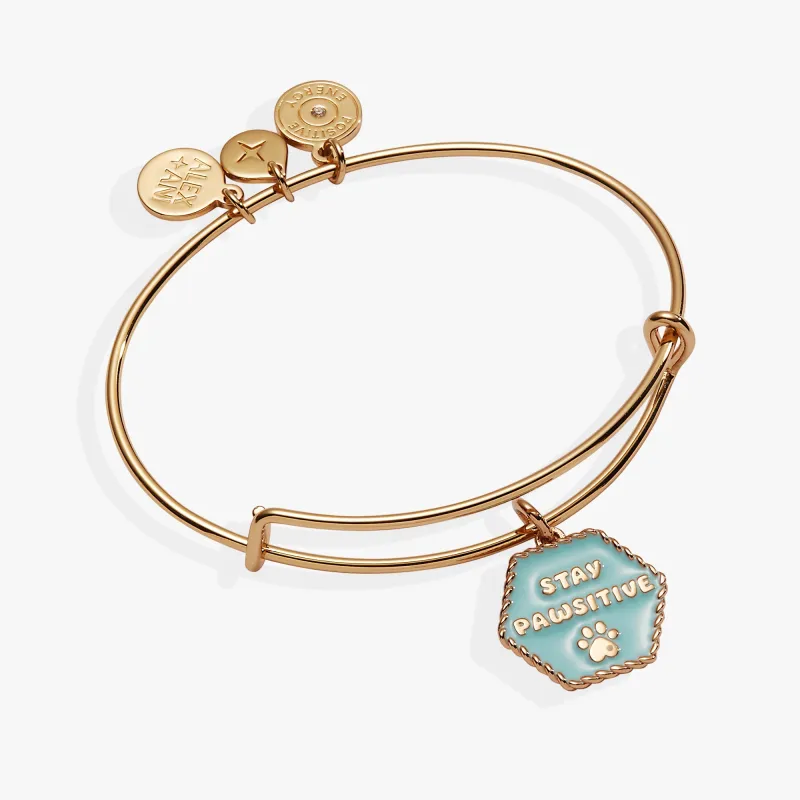 Dog 'Stay Pawsitive' Bangle sold by Zulily