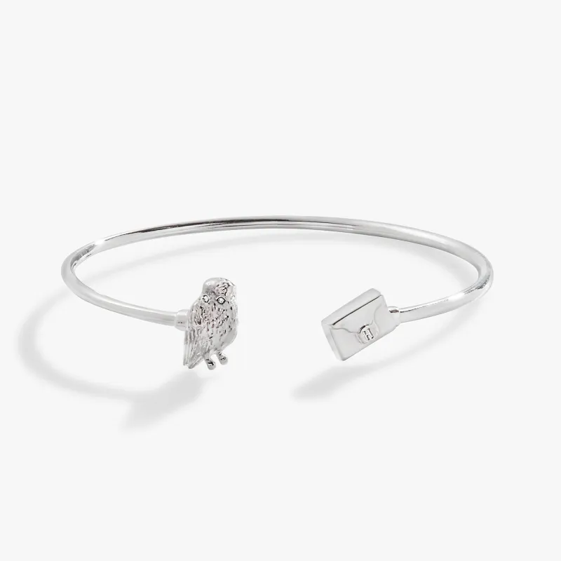 Harry Potter™ Hedwig + Letter Flex Cuff sold by Zulily