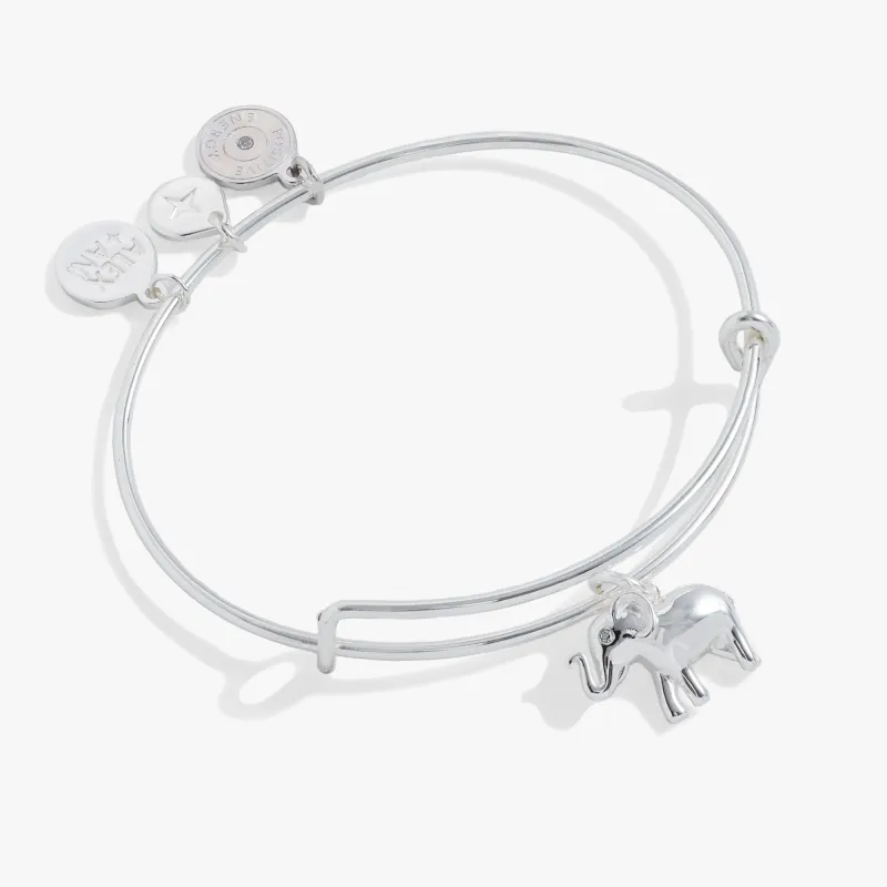 Elephant Charm Bangle sold by Zulily