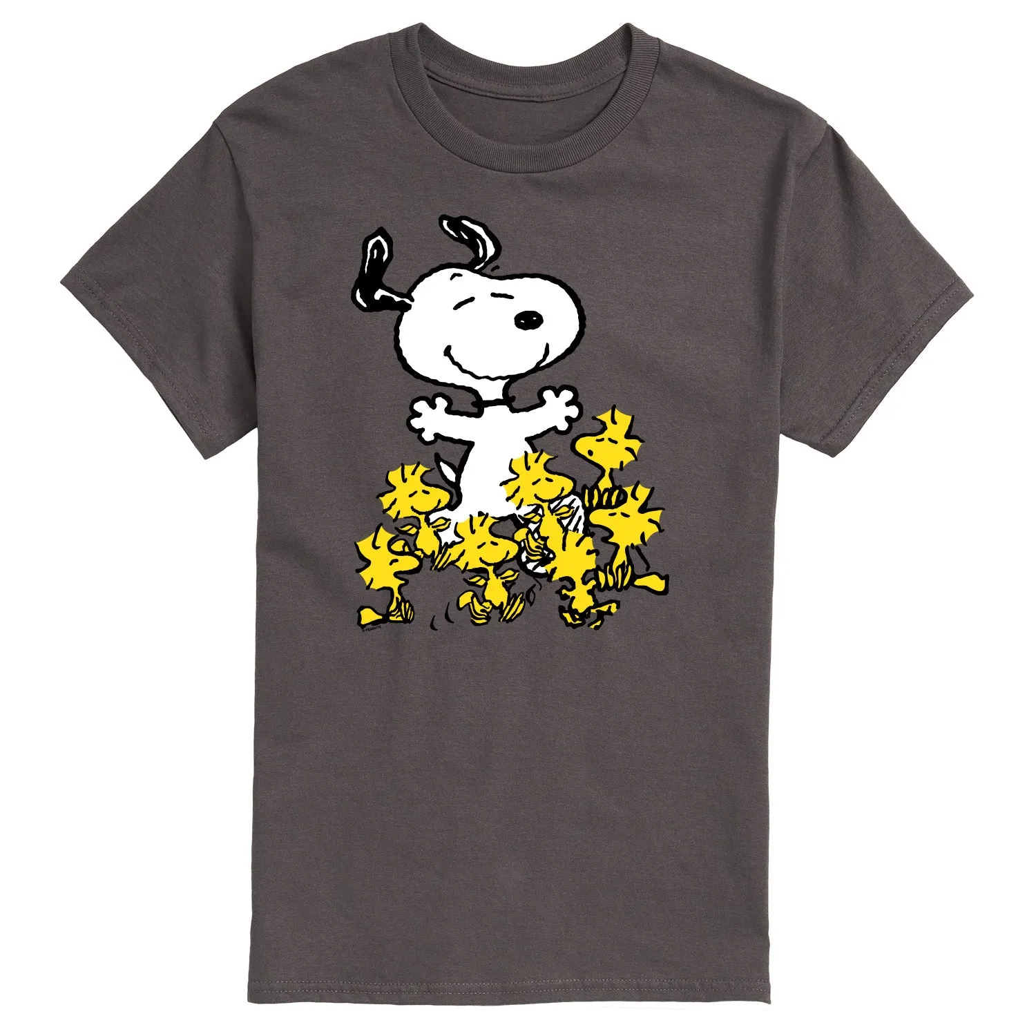 Peanuts - Snoopy and Woodstocks - Men's Short Sleeve Graphic T-Shirt sold by Zulily product image thumbnail 3