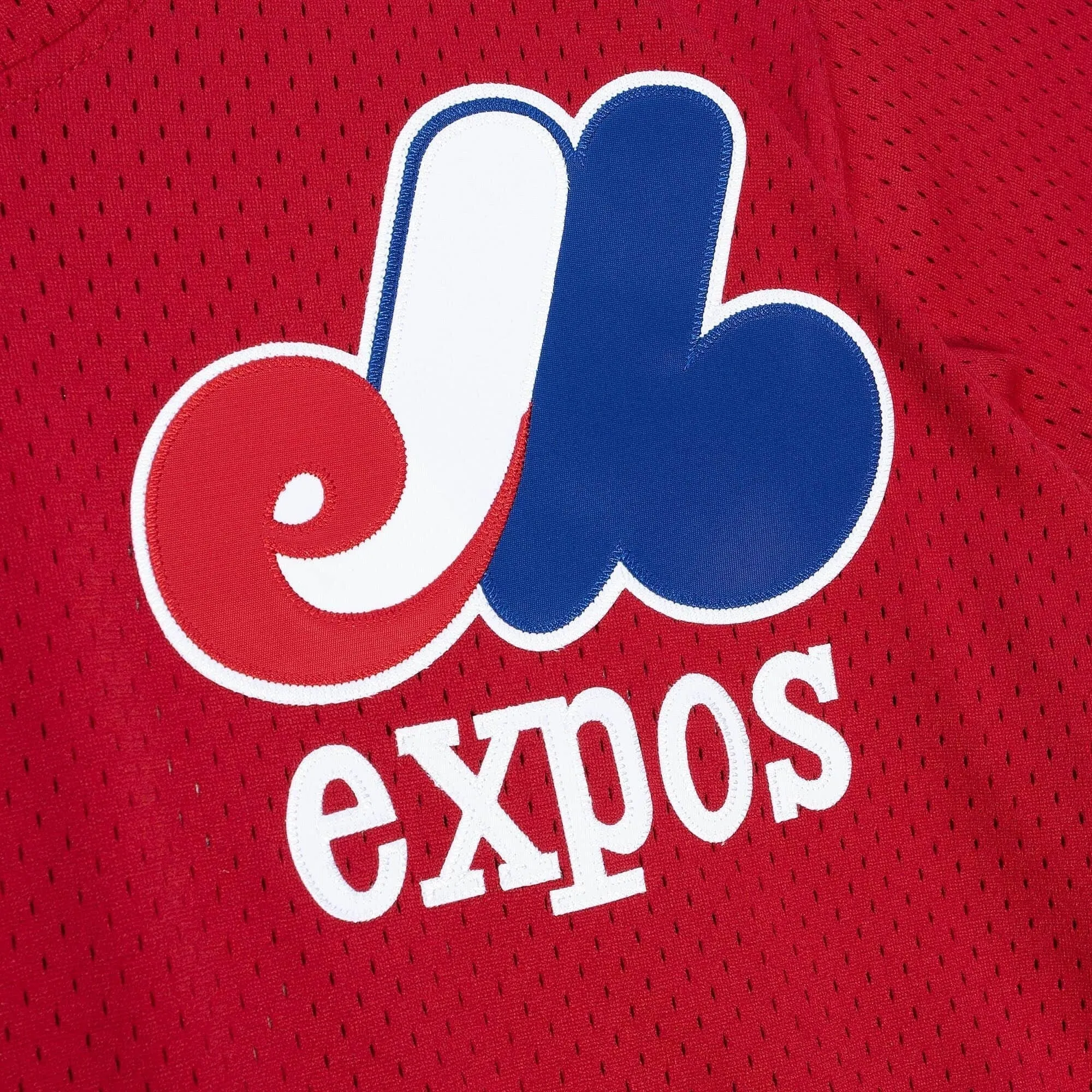 Mitchell & Ness Men's MLB Authentic Bp Jersey - Pullover Expos 1989 Larry Walker Jerseys sold by Zulily product image thumbnail 3