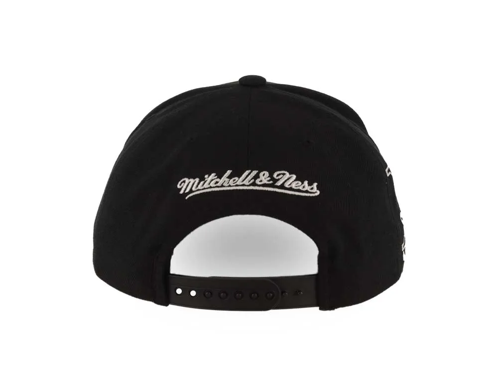 Mitchell & Ness Men's NHL Panda Pro Snapback Vintage Ducks Snapback Caps sold by Zulily product image thumbnail 5