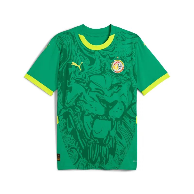 Puma Men's Fsf Away Jersey Replica Jerseys made by Puma