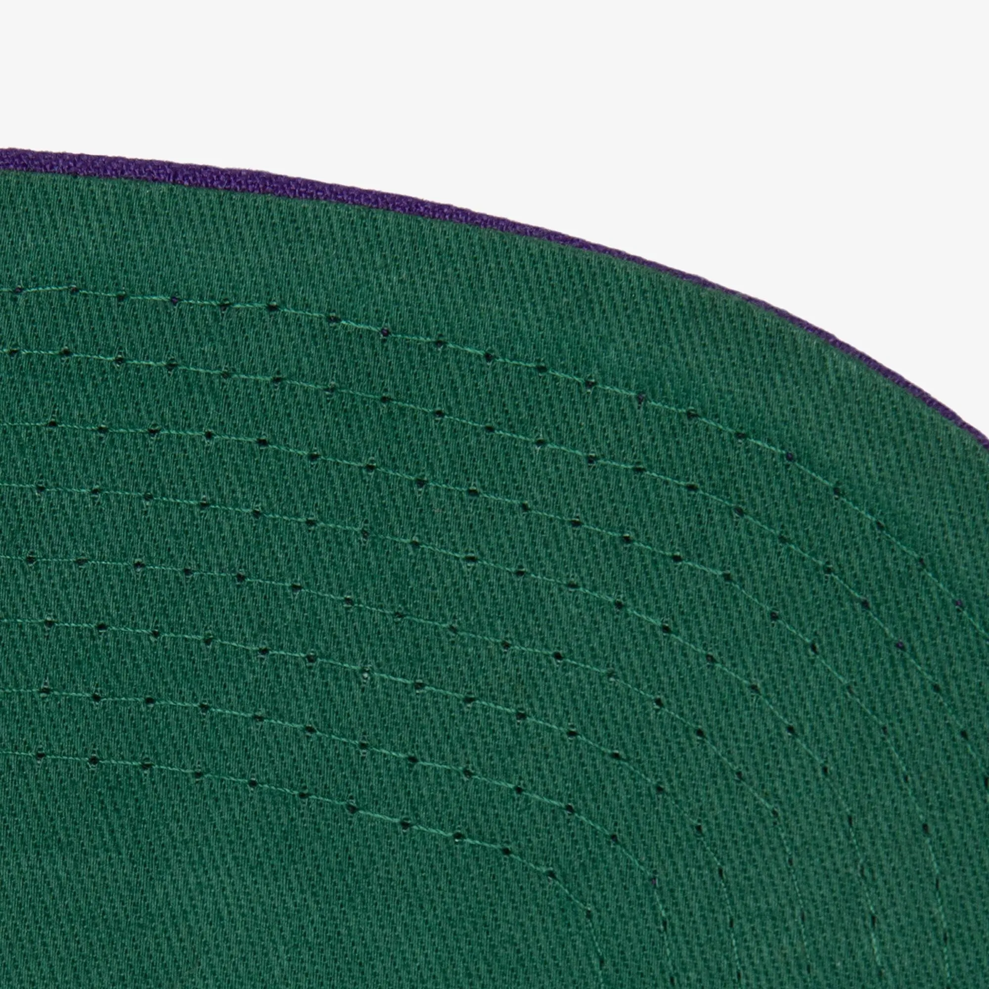 Mitchell & Ness Men's NBA Paintbrush Snapback Hwc Raptors Snapback Caps sold by Zulily product image thumbnail 3