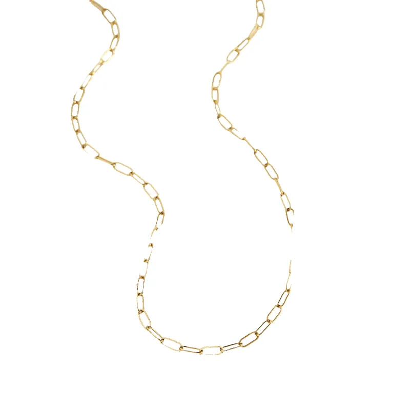 Mint & Lily Thin Paperclip Necklace made by Zulily