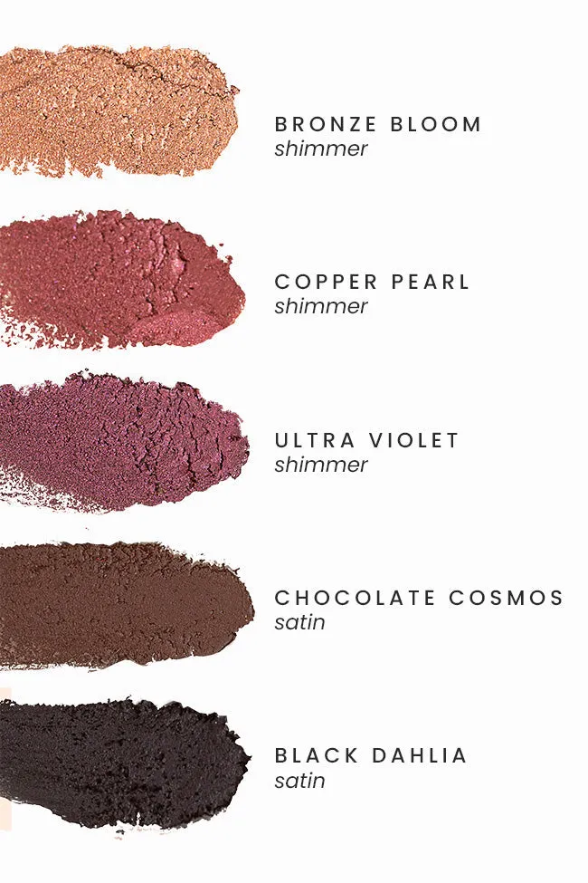 Pink Lily Beauty Eye Want It All Multi Eyeshadow and Eyeliner - Chocolate Cosmos FINAL SALE sold by Zulily product image thumbnail 5