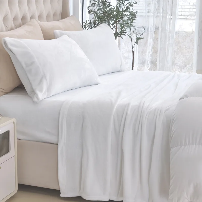 Mocassi 4-Piece Velvet Plush Flannel Sheet Set made by Zulily