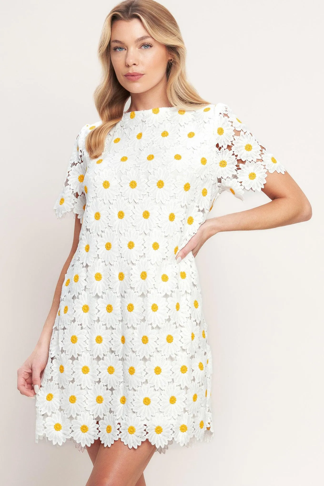 Daisies and Daydreams Woven Lace Mini Dress sold by Zulily product image thumbnail 2
