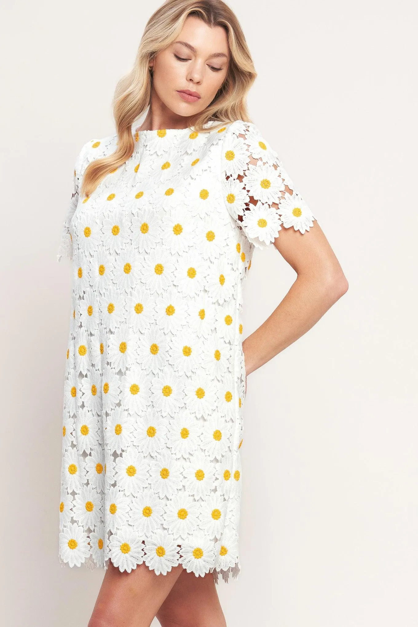 Daisies and Daydreams Woven Lace Mini Dress sold by Zulily product image thumbnail 3