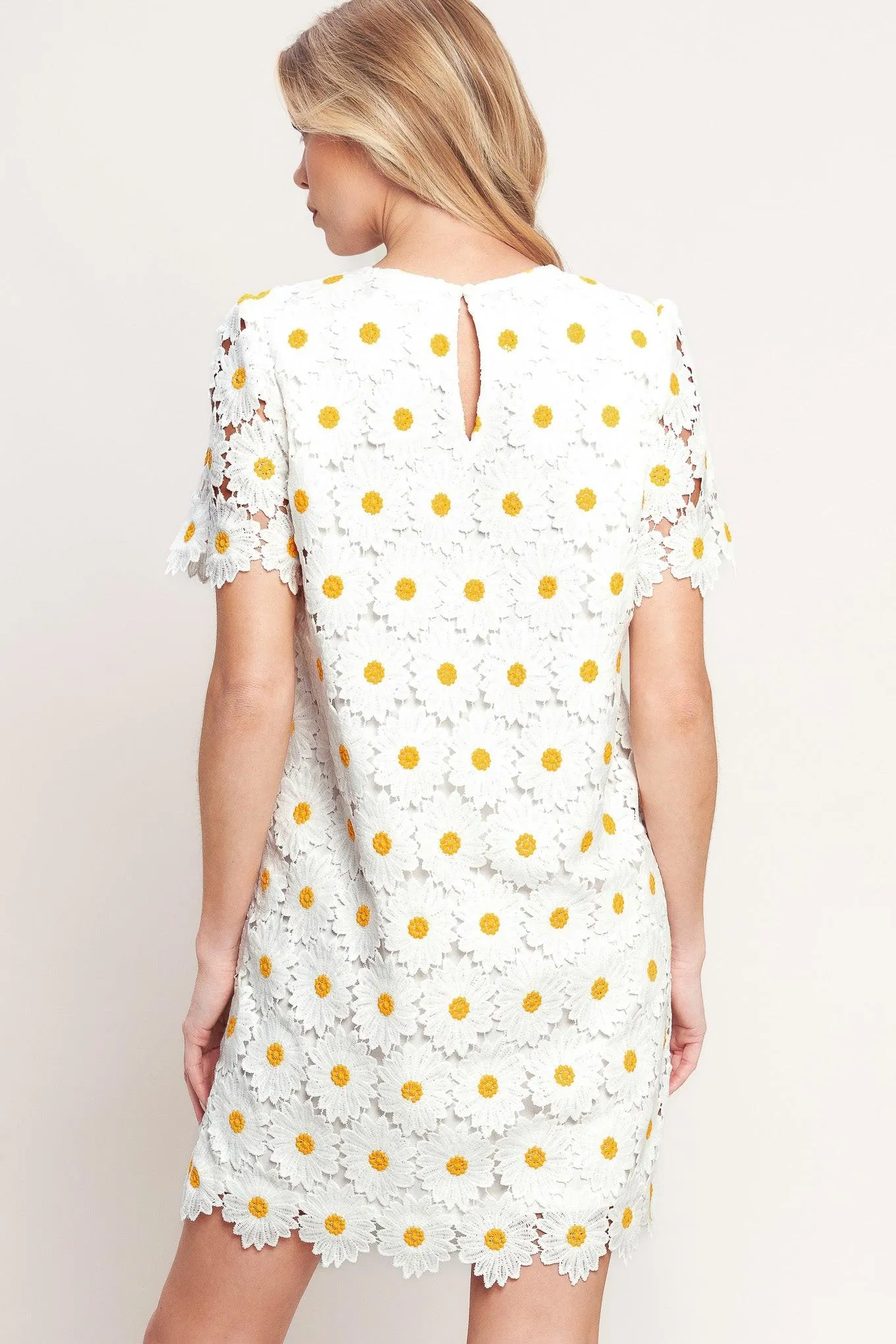 Daisies and Daydreams Woven Lace Mini Dress sold by Zulily product image thumbnail 4