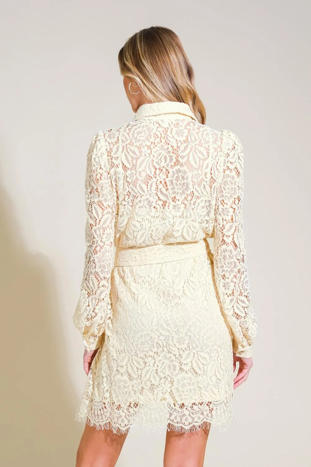 Adore You Lace Mini Dress sold by Zulily product image thumbnail 2