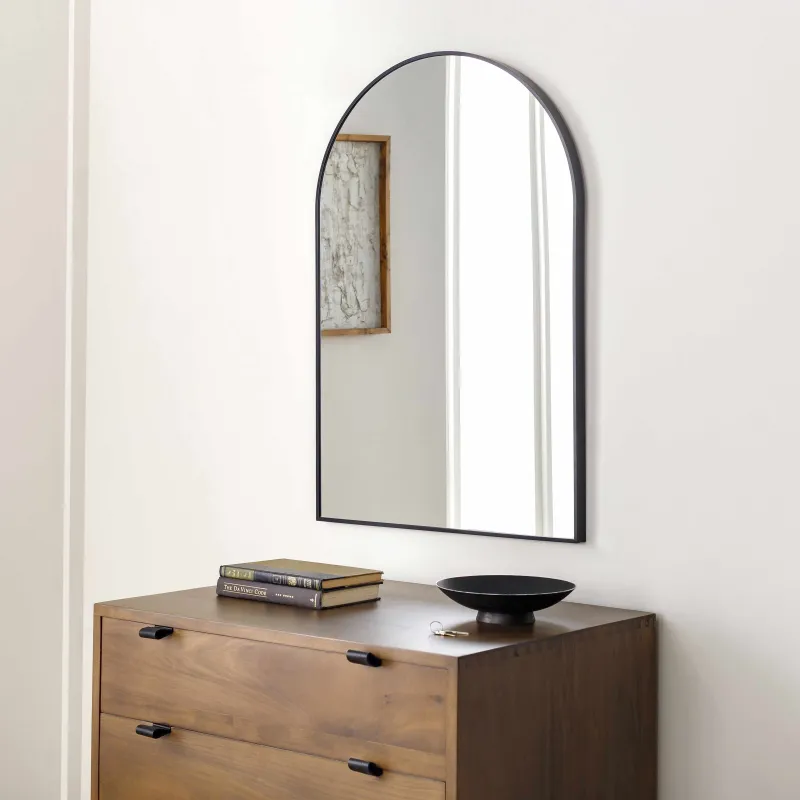 Brembilla Black Frame Mirror made by Zulily