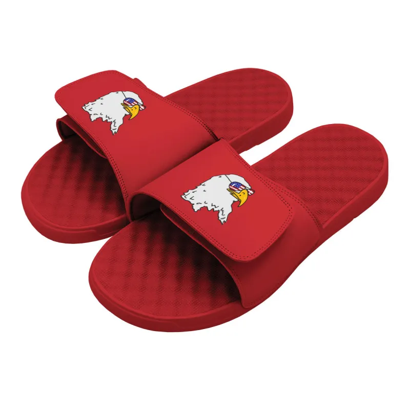 Bald Eagle Sunglasses Slides made by Zulily