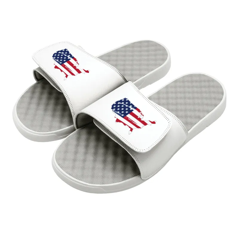 Land Of The Free Slides made by Zulily