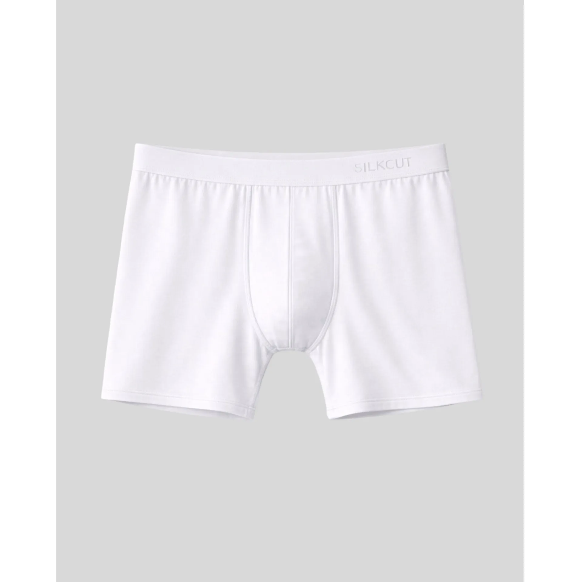 SilkCut Micro Modal Air® Men’s Boxer Brief sold by Zulily product image thumbnail 2