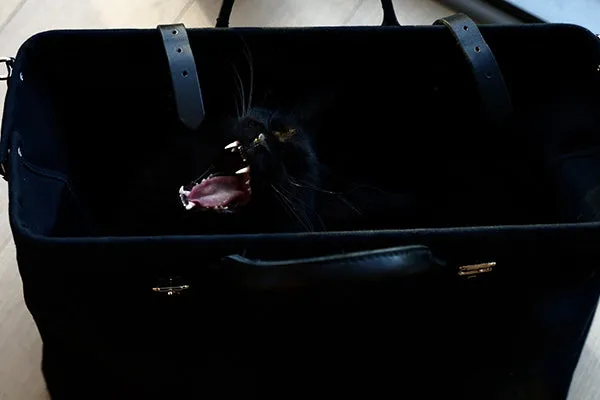 The Weekend Bag sold by Zulily product image thumbnail 2