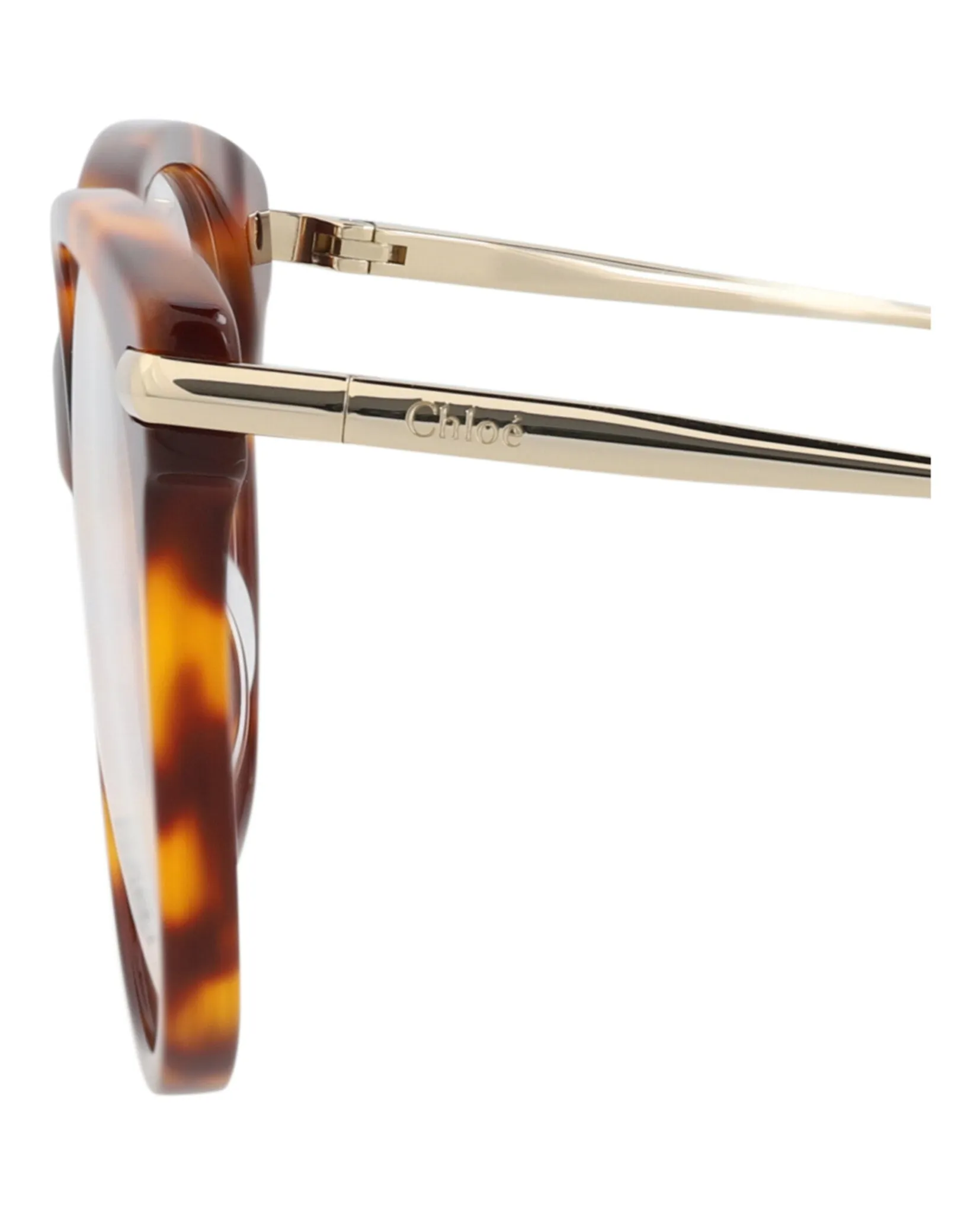 Chloé Cat Eye-Frame Bio Acetate Optical Frames sold by Zulily product image thumbnail 4