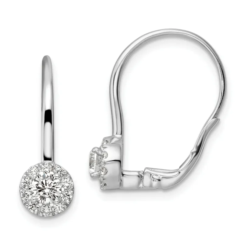 14k Gold Lab Grown Diamond Drop Leverback Earrings made by Zulily