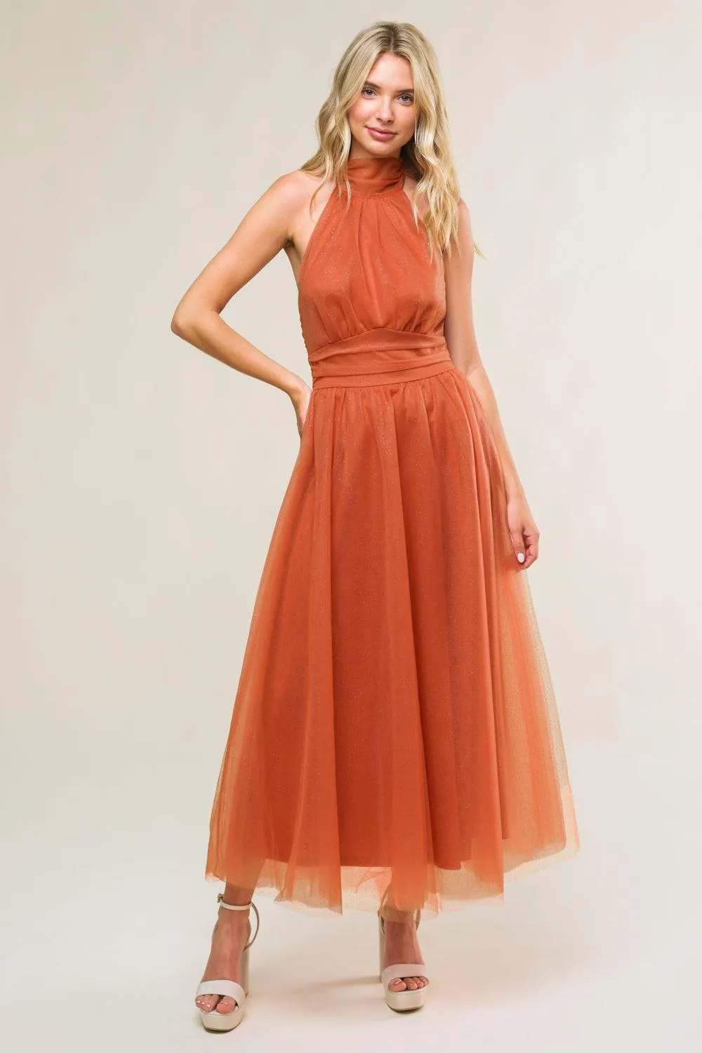 Every Now and Then Mesh Midi Dress sold by Zulily product image thumbnail 3