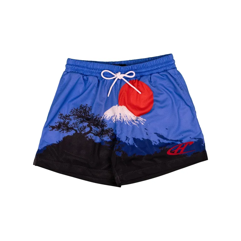 Common Hype Horizon Mesh Short Blue made by Zulily