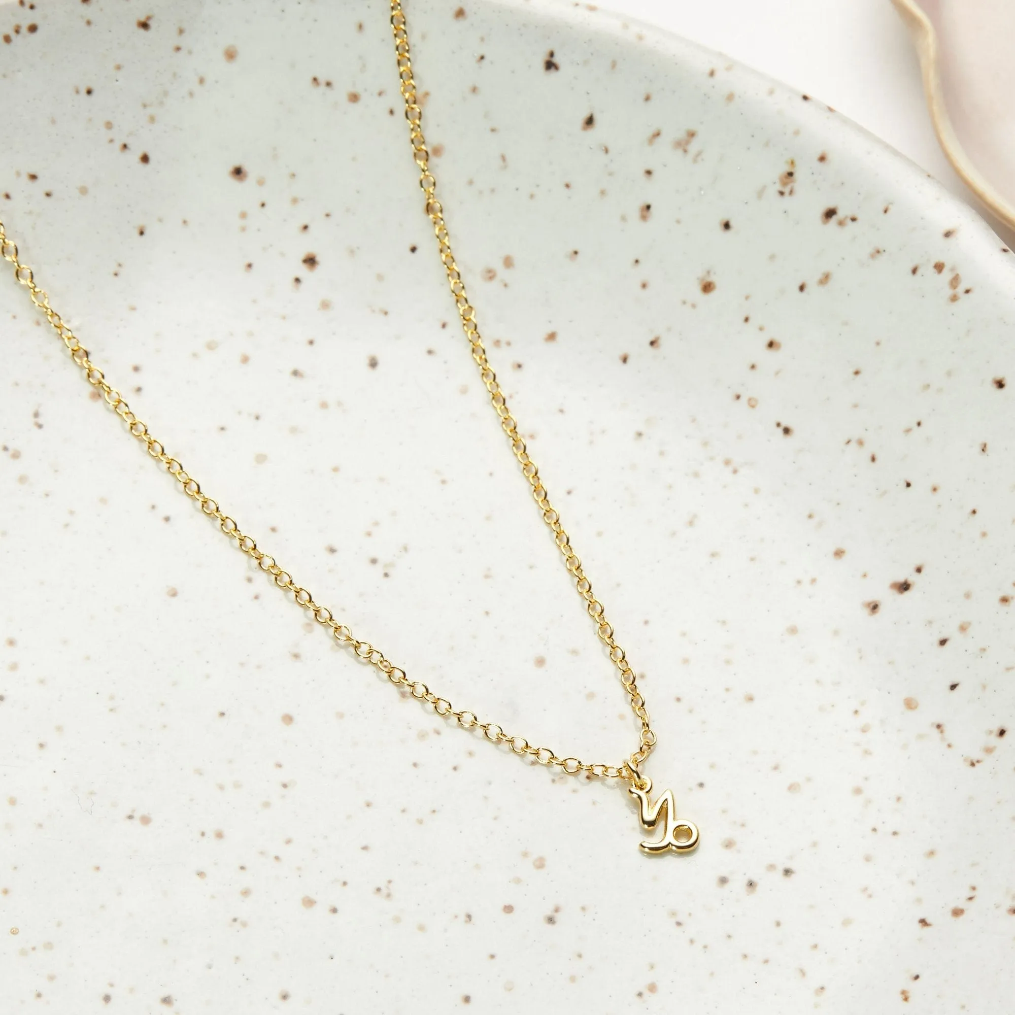 Capricorn Zodiac Gift Necklace sold by Zulily product image thumbnail 2
