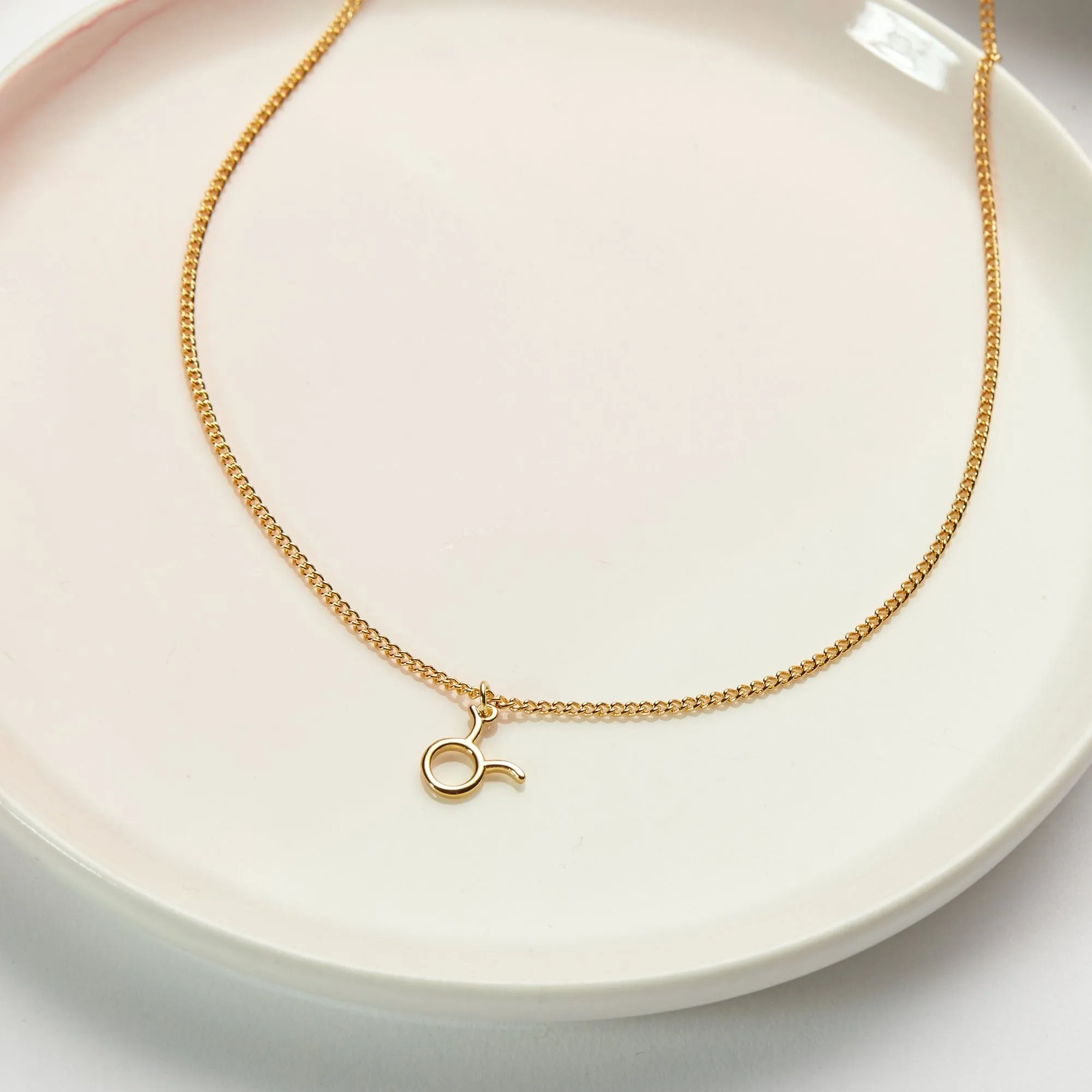 Big Taurus Energy Zodiac Necklace sold by Zulily product image thumbnail 2