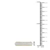De Couer 1/2ct TDW Diamond Wedding Band in 10k Yellow Gold sold by Zulily