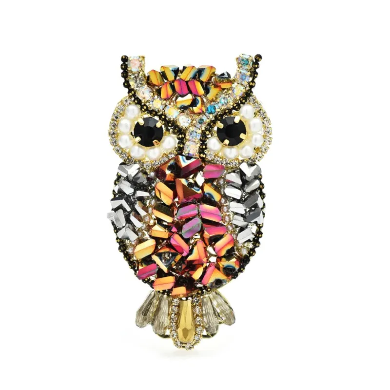 Don't AsK Multi Coloured Crystal Owl Brooch sold by Zulily