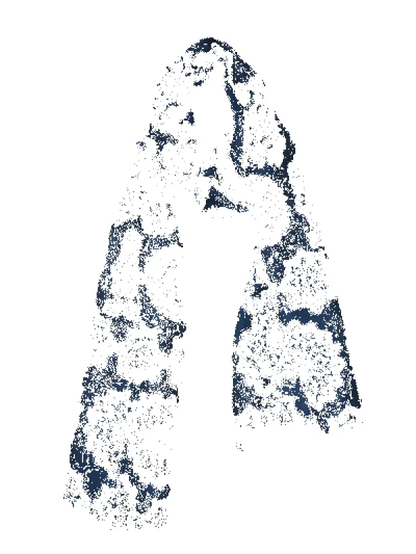 Medallion Print Lightweight 100% Wool Scarf - Denim sold by Haystacks