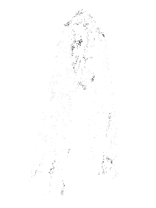 Medallion Print Lightweight 100% Wool Scarf - Carob sold by Haystacks