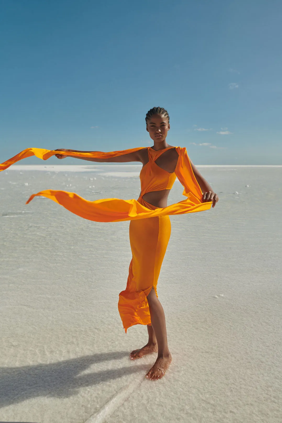 Ribera Maxi Dress sold by BAOBAB product image thumbnail 4