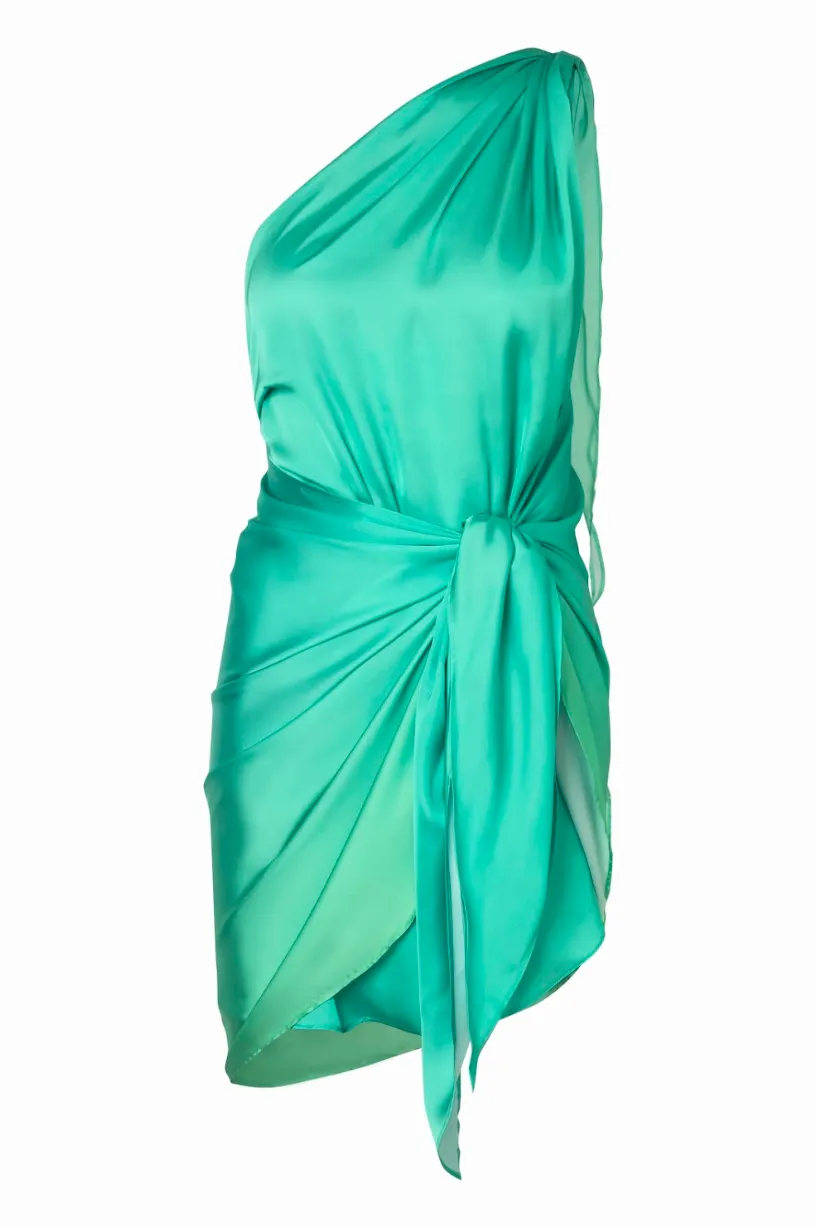 Marea Mini Dress sold by BAOBAB product image thumbnail 2