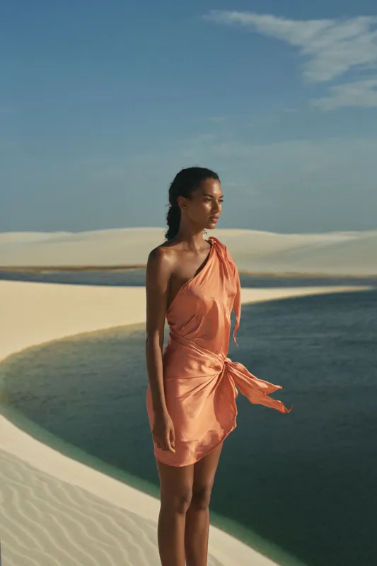 Marea Mini Dress sold by BAOBAB