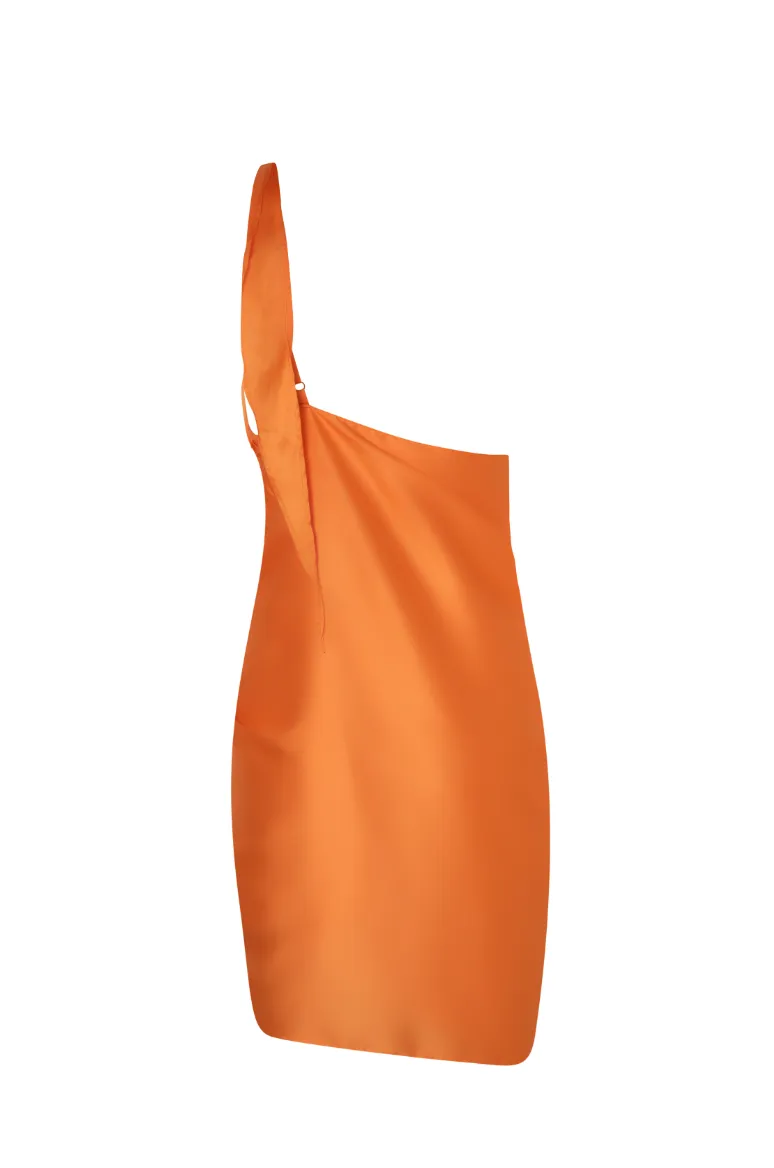 Marea Mini Dress sold by BAOBAB product image thumbnail 3