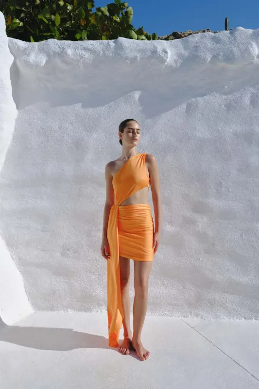 Zadeh Mini Dress made by BAOBAB