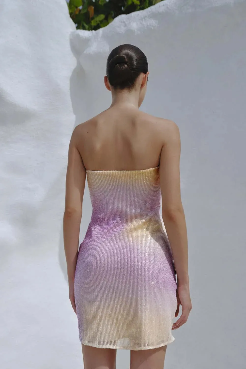 Cam Mini Dress sold by BAOBAB product image thumbnail 4