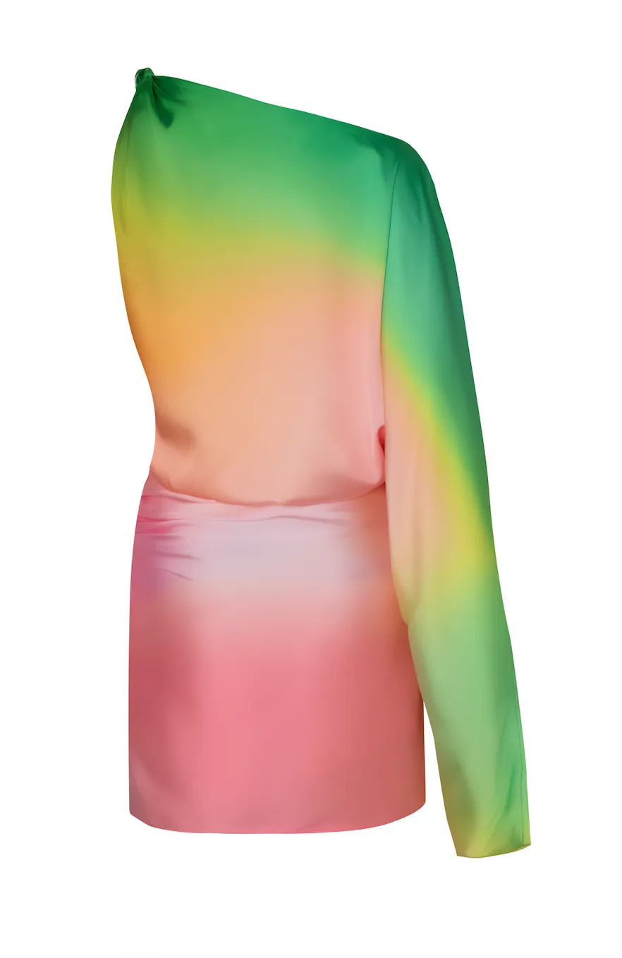 Dolly Mini Dress sold by BAOBAB product image thumbnail 3