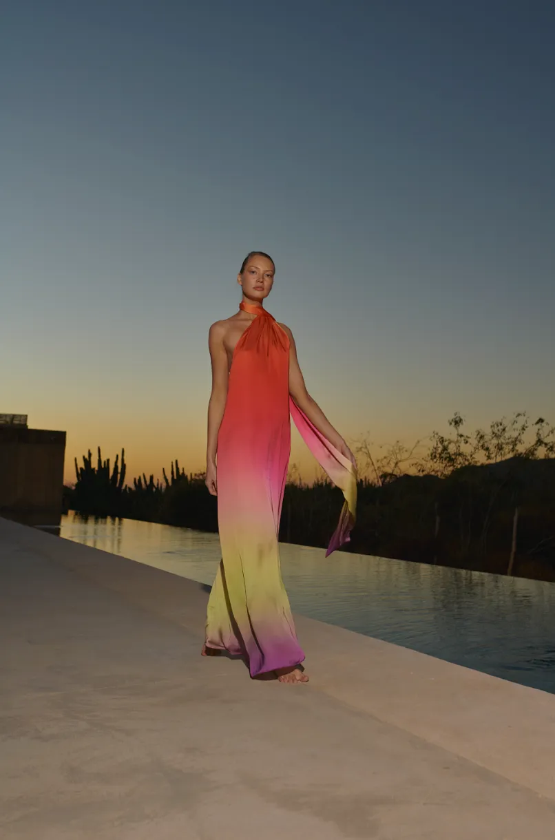 Ari Maxi Dress sold by BAOBAB product image thumbnail 4