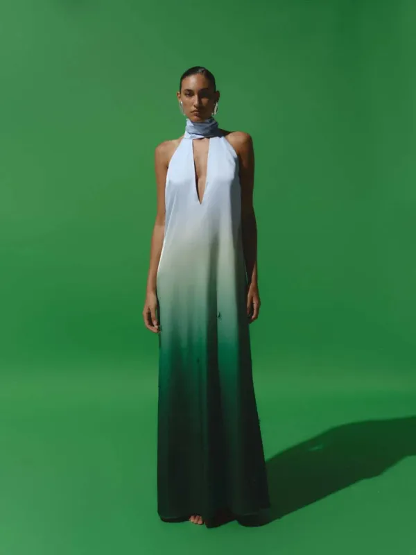 Magia Salvaje Maxi Dress sold by BAOBAB