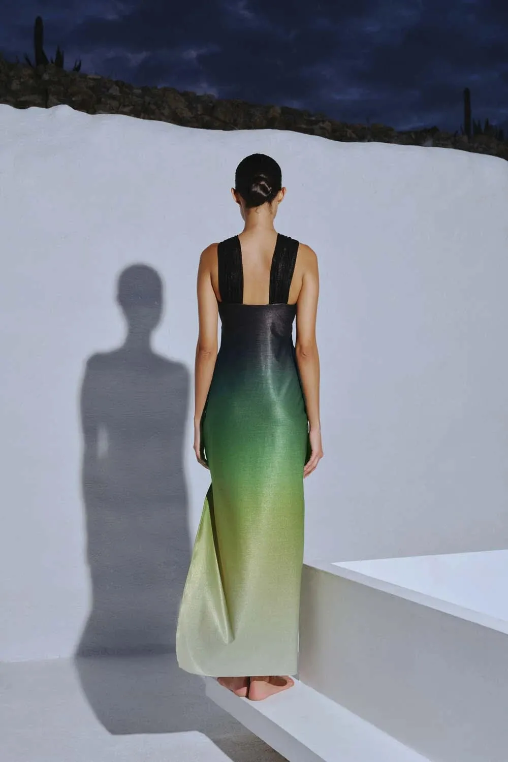 Athena Maxi Dress sold by BAOBAB product image thumbnail 4