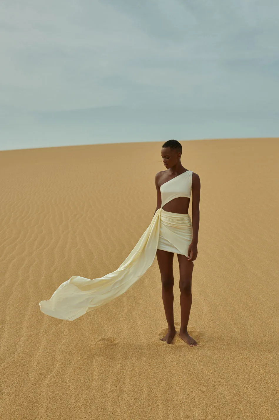 Zadeh Mini Dress sold by BAOBAB product image thumbnail 2