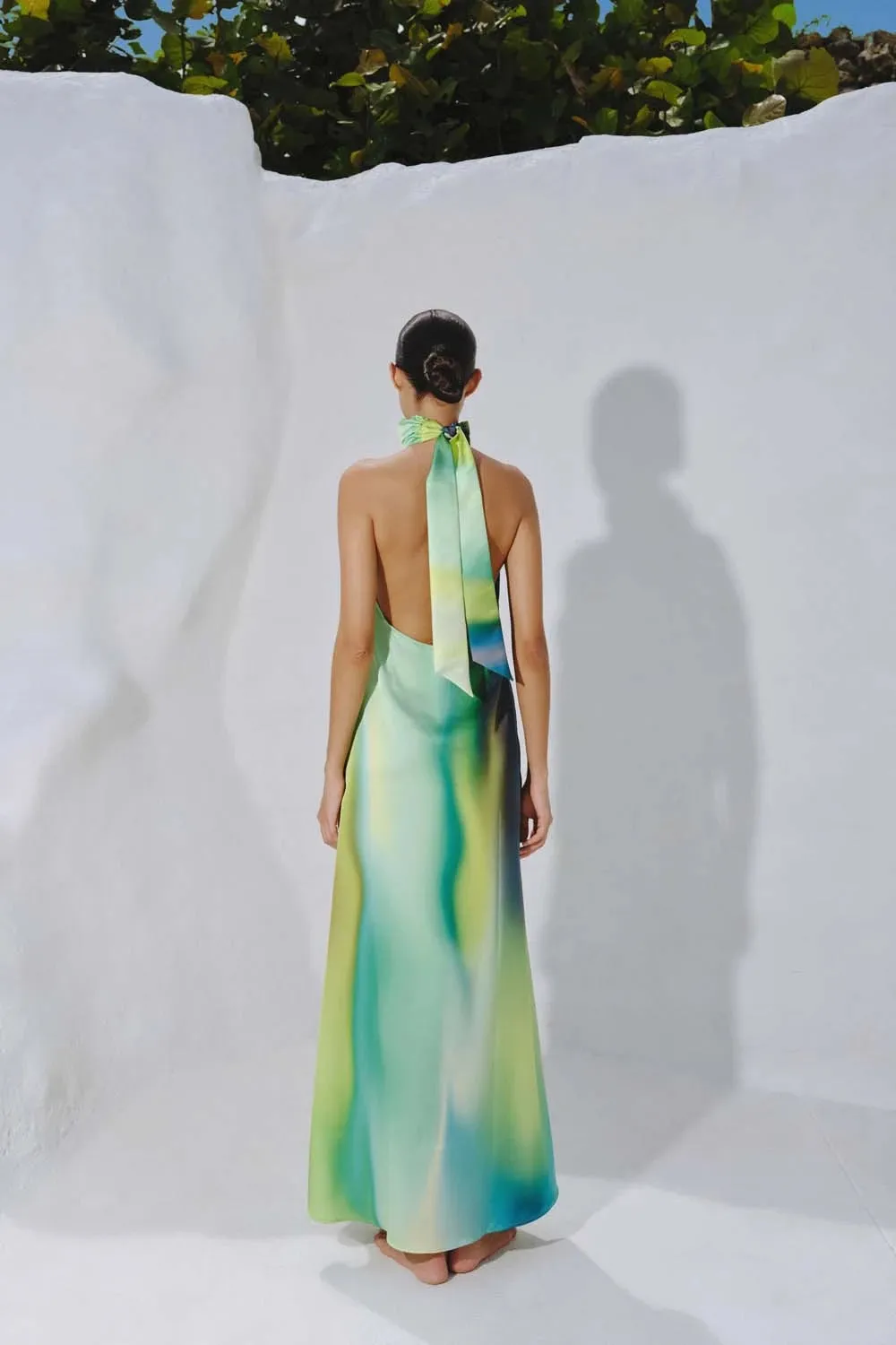 Magia Salvaje Maxi Dress sold by BAOBAB product image thumbnail 4